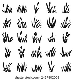Grass vector. Black tufts of grass.  Element for nature design. Black isolated bush silhouette.
