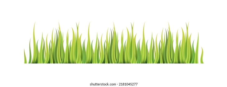 Grass Vector Grass Clipart Grass Vector Grass Images