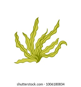 Grass Vector Doodle Illustration