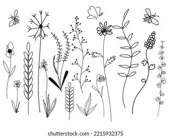 dibujo vectorial de césped
 flores silvestres de fondo blanco
