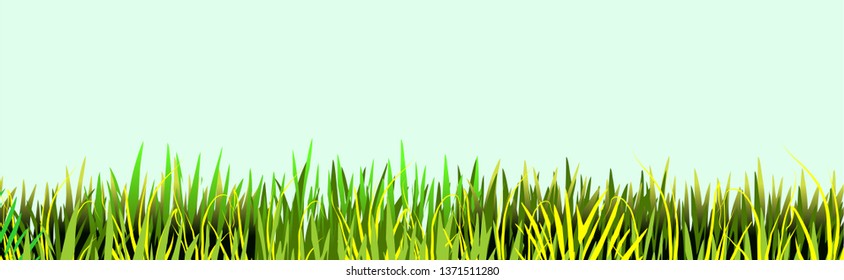 Grass vector icon