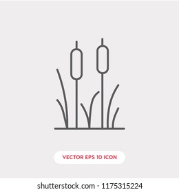 Grass vector icon. Grass symbol. Reeds icon vector. Linear style sign for mobile concept and web design. reeds grass symbol logo illustration. vector graphics - Vector.