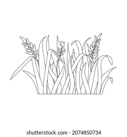 Grass vector icon.Outline vector icon isolated on white background grass.