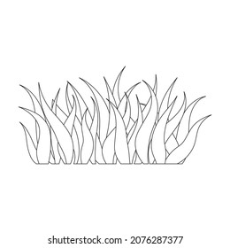 Grass vector icon.Outline vector icon isolated on white background grass.