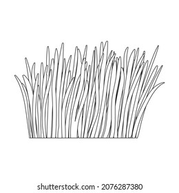 Grass vector icon.Outline vector icon isolated on white background grass.