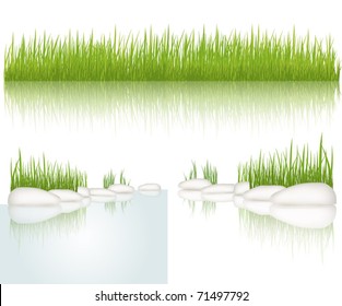 Grass. Vector illustration