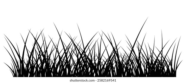 Grass vector illustration. Grass blades silhouette design. Black and white nature element isolated on white background.