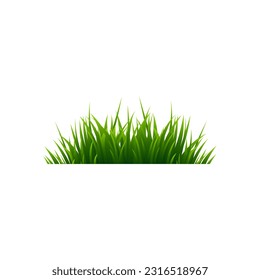 Grass vector and illustration design