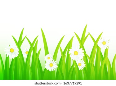 Grass vector illustration hills and grass on foreground.