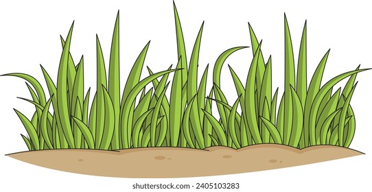 Ilustración vectorial de gramíneas con fondo aislado