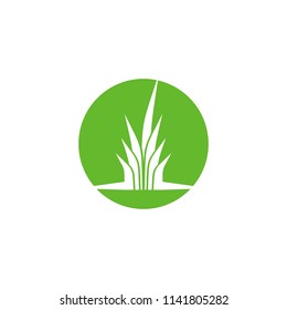 grass vector illustration logo. grass icon