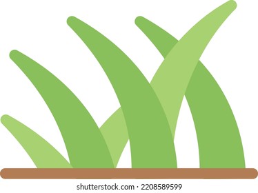 grass Vector illustration on a transparent background. Premium quality symmbols. Line Color vector icons for concept and graphic design. 
