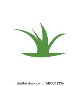 grass vector illustration template design