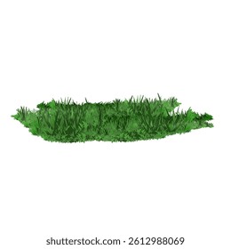 grass vector illustration without background