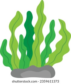 Grass vector image or clip art