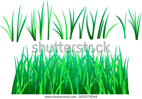 Grass Vector Image Green Colors Stock Vector (Royalty Free) 1810574044 ...