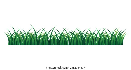 grass vector isolated on transparent background