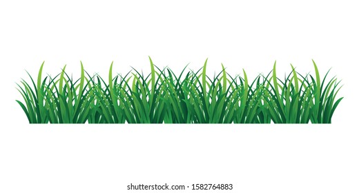 grass vector isolated on transparent background