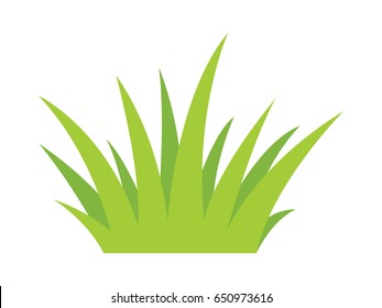 grass vector on white background