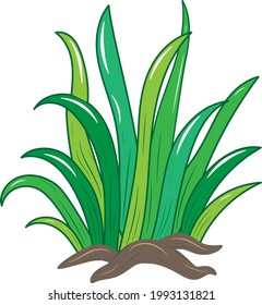 Grass vector perfect for nature illustration scenery.