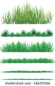 Grass vector set collection