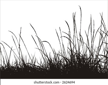 grass vector silhouette