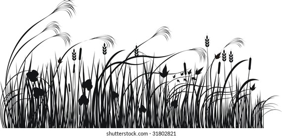 Grass vector silhouette