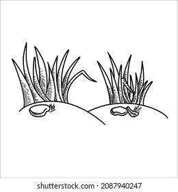 Grass vector silhouette drawing sketch