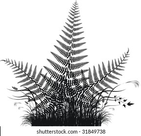 Grass vector silhouette with fern leaves