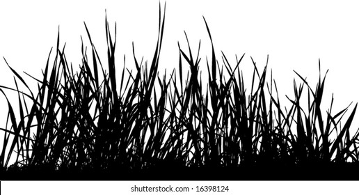 silueta vectorial de césped ideal para el diseño