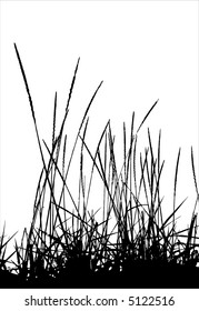 Grasa / vector / silueta. Ideal para su uso