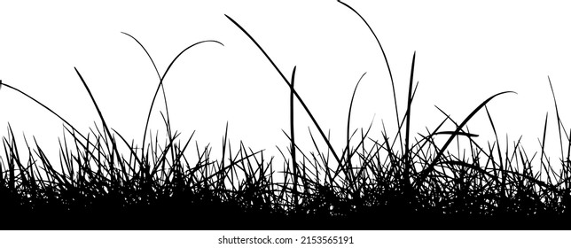 10,851 Outdoor grass and trees background graphic images Images, Stock ...