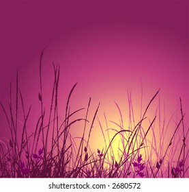 grass vector silhouette and sunset. Ideally for your use in design