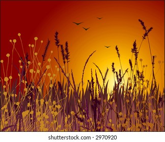 Grass vector silhouette and sunset. Ideally for your use in design.