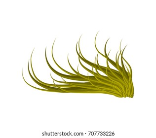 grass vector symbol icon design. Beautiful illustration isolated on white background