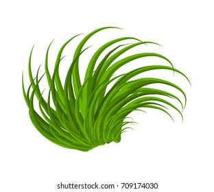 grass vector symbol icon design. Beautiful illustration isolated on white background