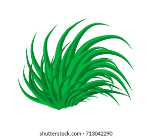 grass vector symbol icon design. Beautiful illustration isolated on white background
