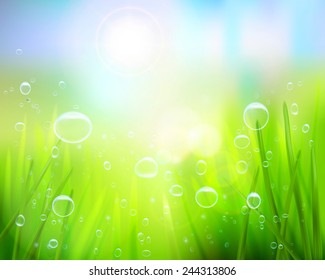 Grass with water drops. Vector illustration.