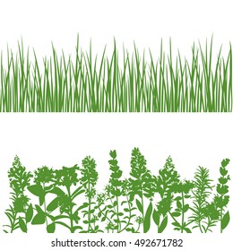 Grass, wild flowers and plants detailed silhouettes. Isolated on white. Herbs garden. For web, wallpaper, decoration, textile, prints, banners, wrapping, packing
