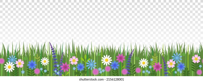 Grass and wild flowers seamless border isolated on transparent background. Hand drawn vector illustration.