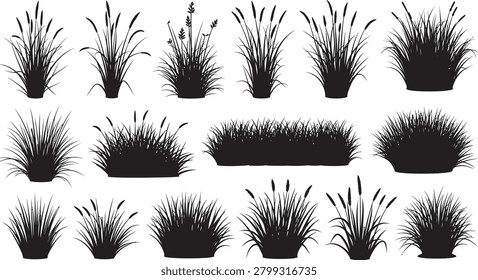 Grass and wild plant silhouettes collection with meadow vegetation bushes and reeds botanical vector illustration isolated background