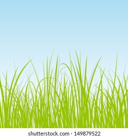 Grass, wild plants detailed silhouettes illustration background vector