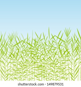 Grass, wild plants detailed silhouettes illustration background vector
