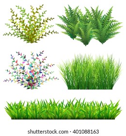 Grass and wild plants vector illustration.