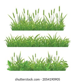 Grass young cereal plants spikes ears seedlings green leaves 3 realistic horizontal banners on white vector illustration