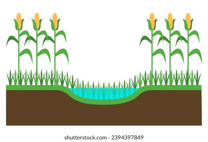 Grassed waterway in agricultural field - native grassland strip of green belt installed in the deepest continuous line of a cultivated dry valley in order to control erosion. Vector scheme