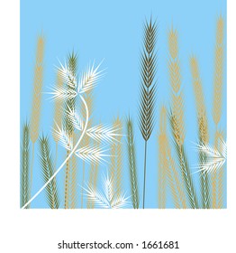 grasses against blue sky