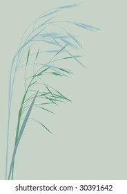 grasses vertical border