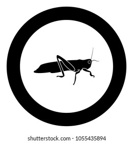 Grasshoper icon black color in circle