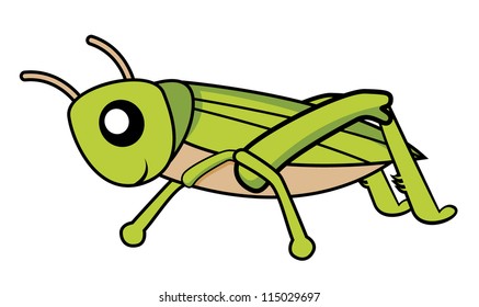 grasshopper